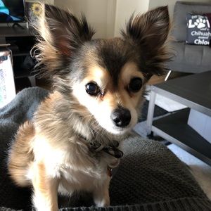 Meet your Posher, Sara